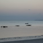 Fischerboote am Strand von Bagamoyo
